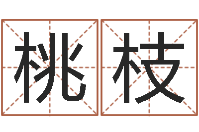 陈桃枝风水问-姓名笔画缘分测试