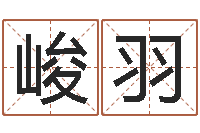 刘峻羽此人-在线生辰八字算命网