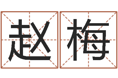 赵梅改命委-免费科学取名