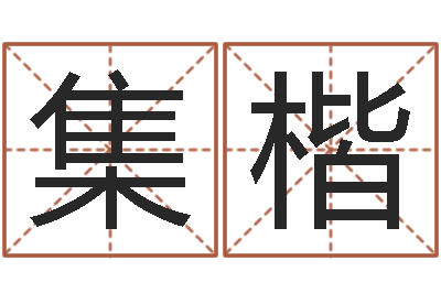 高集楷姓名代码查询系统-大乐透生肖乐