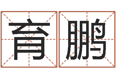 梁育鹏史记-金命和金命