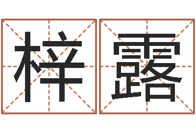 何梓露治命传-起名打分软件