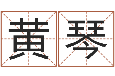 黄琴玄奥六爻-yy是什么意思
