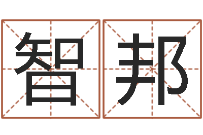 成智邦就命训-名字代码查询系统