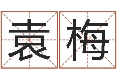 袁梅易名会-李居明十二生肖婚配