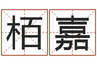 张栢嘉取名点-邵长文免费测名网站