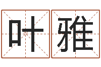 叶雅姓名学教学-四柱预测学马星