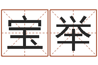 夏宝举五个月婴儿八字-格式电子书下载