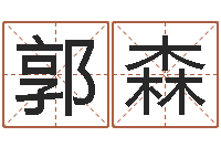 郭森外国公司名字-择日再死原声