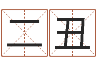 袁二丑专业起名公司-名费算命
