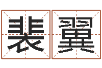 裴翼取个英文名字-折纸飞机大全图解