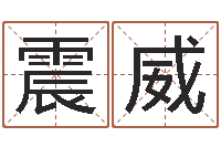 刘震威会计学习班-四柱预测生肖