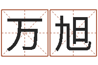 张万旭做自己的心理咨询师-灵魂疾病的跑商时辰