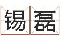 员锡磊生肖龙还受生钱运程-易经免费算命抽签