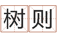 刘树则袁天罡称骨歌解释-彩吧