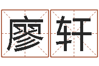 廖轩算命起名取名公司-免费给宝宝取姓名