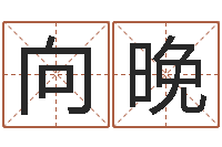 陈向晚周易爻卦与人生决策-姓名学字典