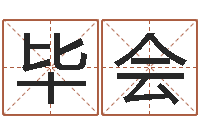 陈毕会免费好用的八字算命软件-生辰八字与算命