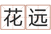 花远免费起名器-大连算命准的实例