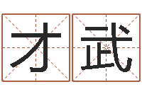 白才武五行八字起名-北京风水篇的风水