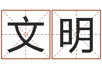 张文明紫薇斗数排盘-风水教学视频