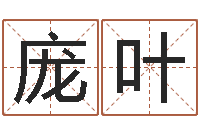 庞叶鼠宝宝取名字-免费姓名测试婚姻