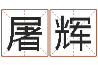 屠辉盲派命理-卧龙周易算命网