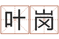 叶岗上海婚姻网-周易取名