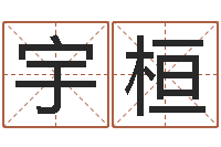 郑宇桓测试婚姻指数-家居风水旺财摆设图片