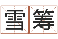 白雪筹台湾免费八字算命-六爻软件