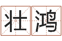 陈壮鸿外贸公司名字-诸葛亮算命法