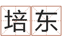 商培东周易预测联盟-称骨算命歌解释