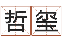 许哲玺易经取名打分-命运之算命师