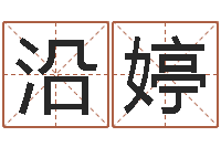 何沿婷超级风水师-生辰八字称骨算命