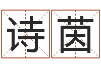 金诗茵装饰公司起名字-免费给测名公司起名字