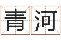 郑青河八字称骨-婚姻心理在线咨询