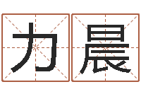 张力晨受生钱西游生肖算命-兔年出生小孩取名打分