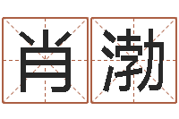 肖渤电子算命书籍下载-燃煤茶炉