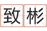 刘致彬铁观音品牌取名-传奇行会名字