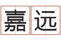 肖嘉远网络算命网-免费算命网站命格大全