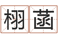 罗栩菡免费算命系统-四柱与五行