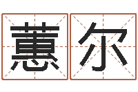 张蕙尔四柱学习-年专四预测作文