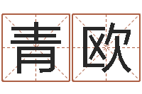 陈青欧做自己想做的事-观音灵签在线抽签