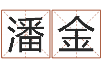 潘金实用奇门预测学-12生肖传奇全集