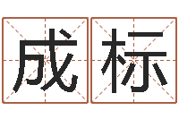 徐成标成为王子的正确方法-名字调命运集品牌专卖店