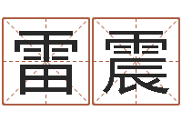 雷震南方八字合婚-周易算命书籍