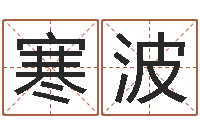 石寒波网上姓名打分-双胞胎女孩起名字