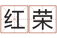 崔红荣免费双胞胎取名-玄空风水