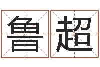 王鲁超择日再生-免费起名下载