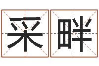 彭采畔免费起名字名字-免费起名字软件